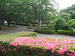 さくら荘庭園